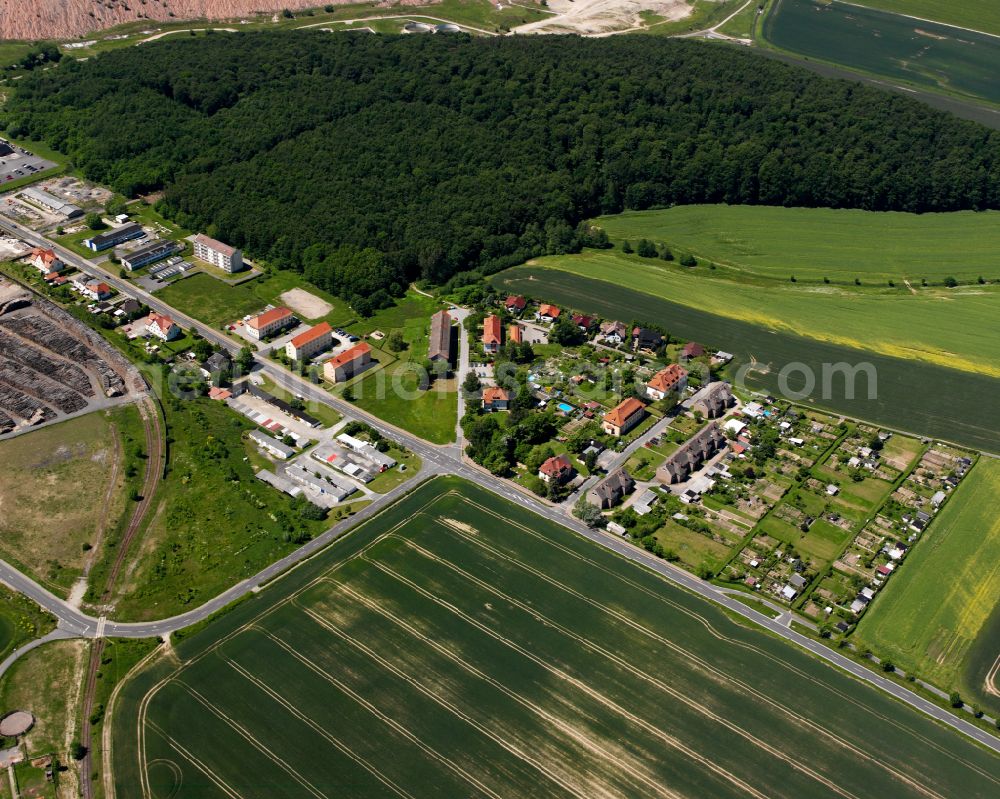 Aerial photograph Bischofferode - Agricultural land and field boundaries surround the settlement area of the village in Bischofferode in the state Thuringia, Germany