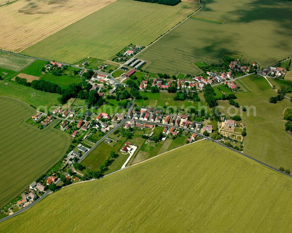 Aerial photograph Blochwitz - Agricultural land and field boundaries surround the settlement area of the village in Blochwitz in the state Saxony, Germany