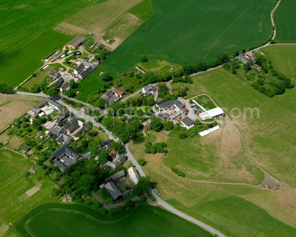 Büna from the bird's eye view: Agricultural land and field boundaries surround the settlement area of the village in Büna in the state Thuringia, Germany