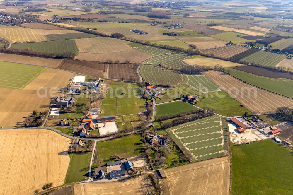 Aerial image Bönen - Agricultural land and field boundaries surround the settlement area of the village in Bönen at Ruhrgebiet in the state North Rhine-Westphalia, Germany