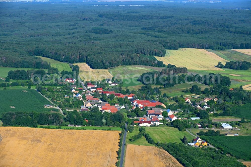 Bockwitz from the bird's eye view: Agricultural land and field boundaries surround the settlement area of the village in Bockwitz in the state Saxony, Germany