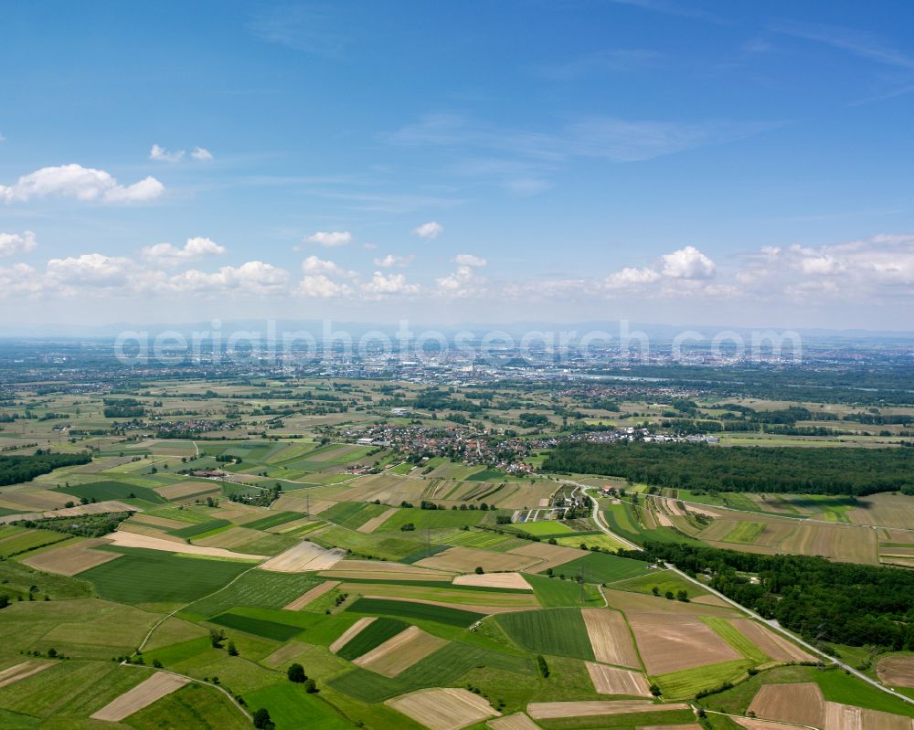 Aerial photograph Bodersweier - Agricultural land and field boundaries surround the settlement area of the village in Bodersweier in the state Baden-Wuerttemberg, Germany