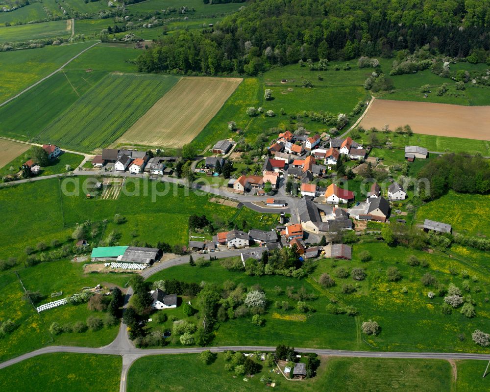 Bollnbach from above - Agricultural land and field boundaries surround the settlement area of the village in Bollnbach in the state Hesse, Germany