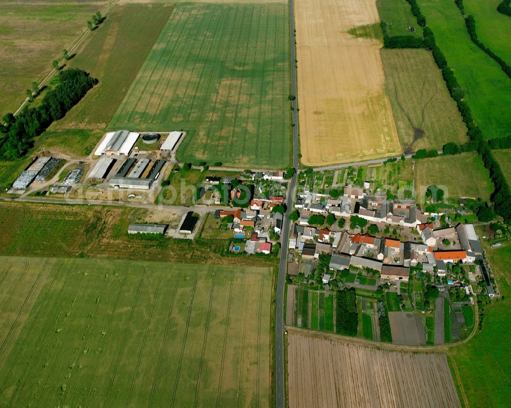 Aerial photograph Bonitz - Agricultural land and field boundaries surround the settlement area of the village in Bonitz in the state Saxony-Anhalt, Germany