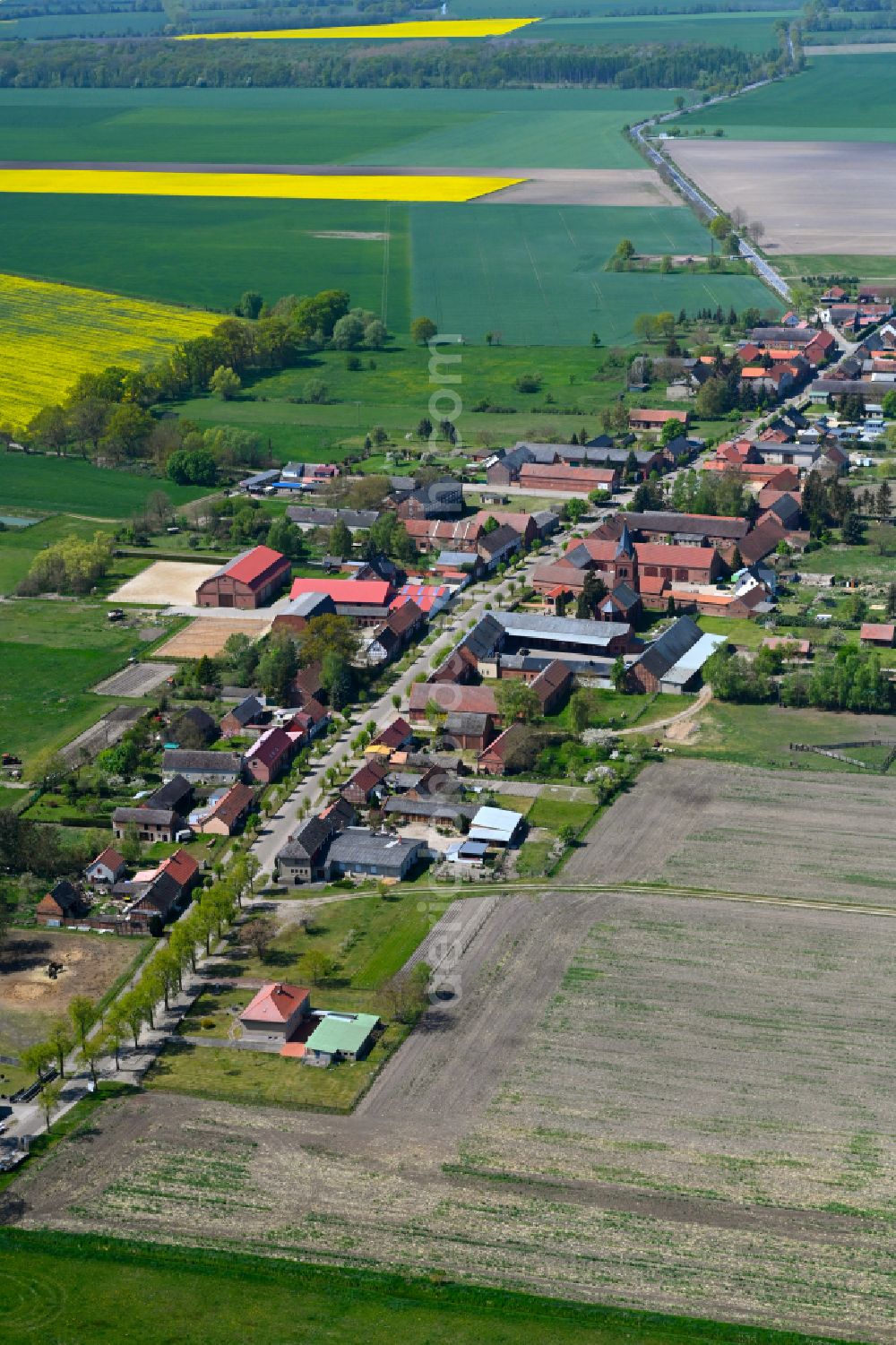 Aerial photograph Boock - Agricultural land and field boundaries surround the settlement area of the village in Boock in the state Saxony-Anhalt, Germany