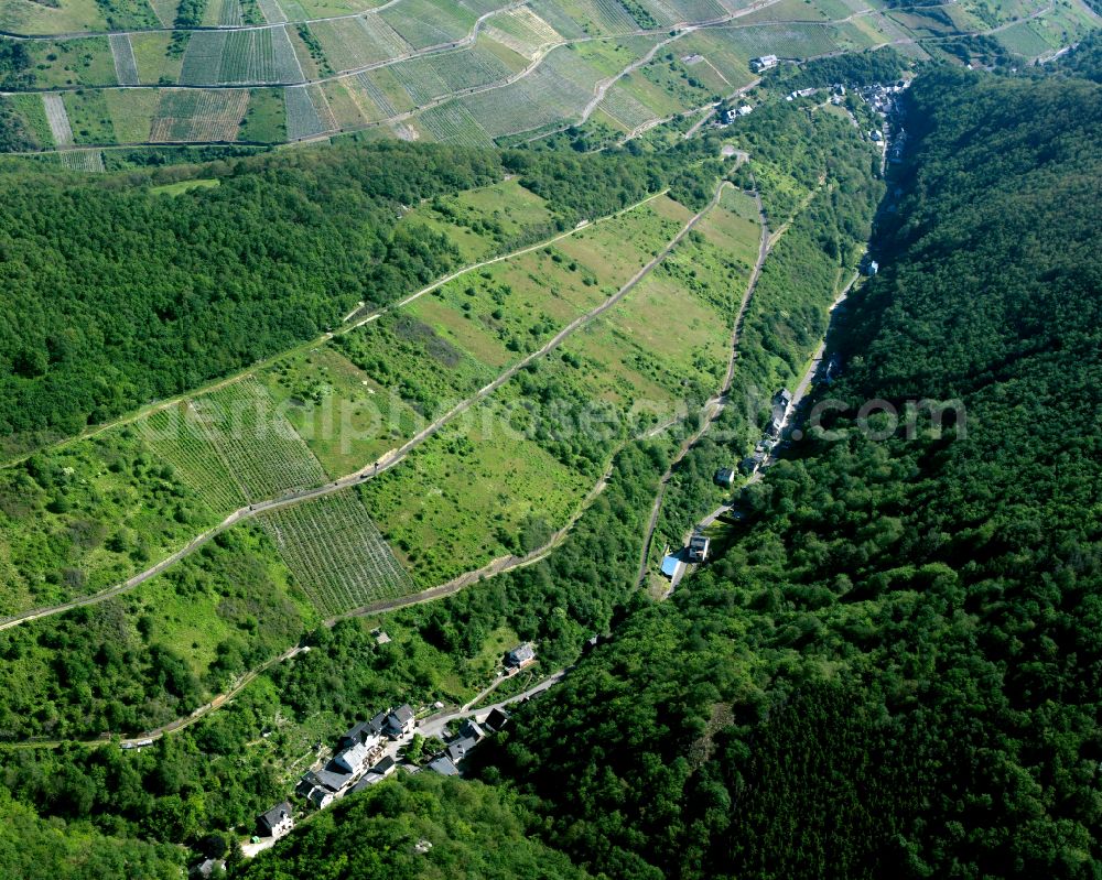 Aerial image Boppard - Agricultural land and field boundaries surround the settlement area of the village in Boppard in the state Rhineland-Palatinate, Germany