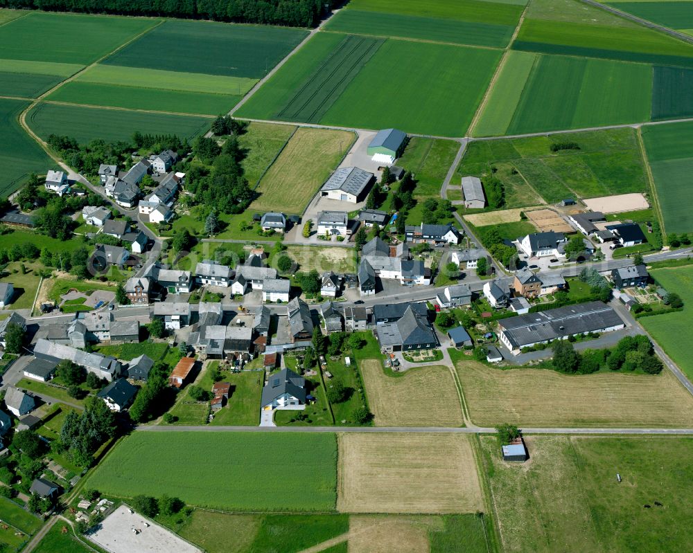 Aerial image Braunshorn - Agricultural land and field boundaries surround the settlement area of the village in Braunshorn in the state Rhineland-Palatinate, Germany