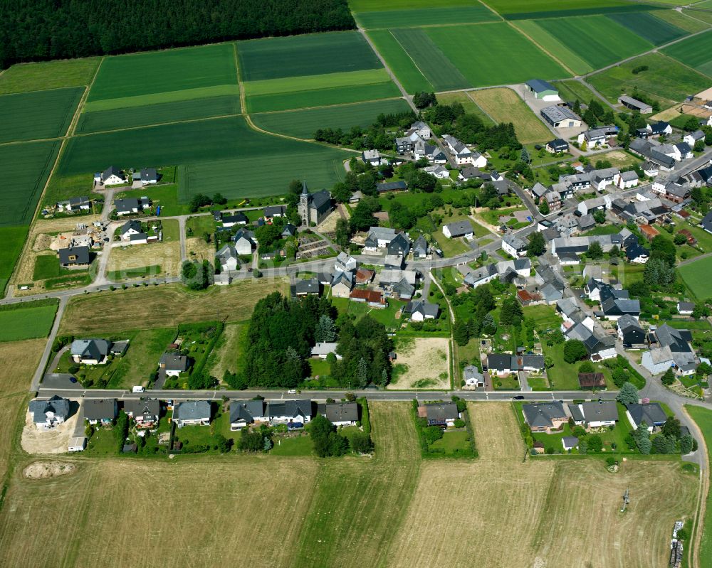 Aerial photograph Braunshorn - Agricultural land and field boundaries surround the settlement area of the village in Braunshorn in the state Rhineland-Palatinate, Germany