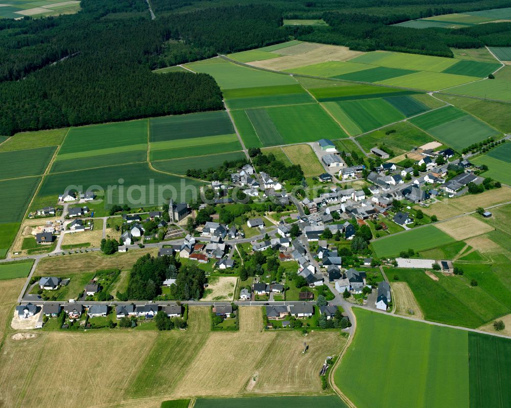 Aerial image Braunshorn - Agricultural land and field boundaries surround the settlement area of the village in Braunshorn in the state Rhineland-Palatinate, Germany