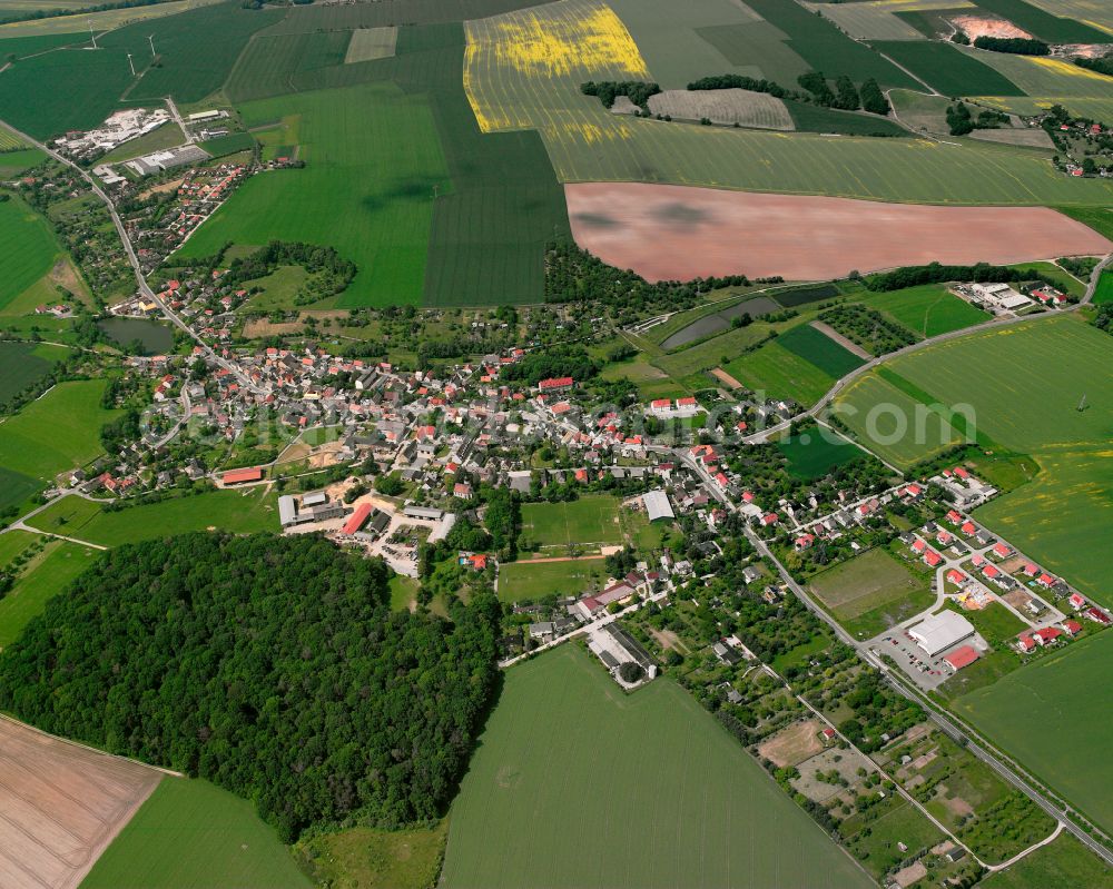 Bröckau from the bird's eye view: Agricultural land and field boundaries surround the settlement area of the village in Bröckau in the state Thuringia, Germany