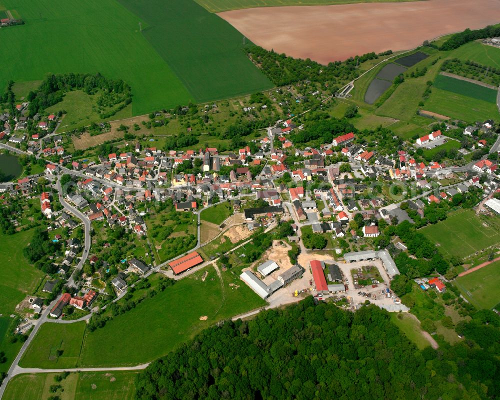 Aerial photograph Bröckau - Agricultural land and field boundaries surround the settlement area of the village in Bröckau in the state Thuringia, Germany