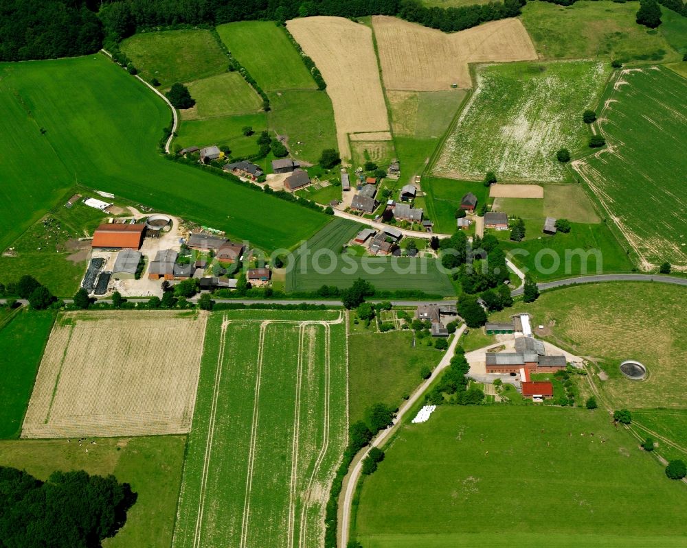 Breitenfelde from the bird's eye view: Agricultural land and field boundaries surround the settlement area of the village in Breitenfelde in the state Schleswig-Holstein, Germany