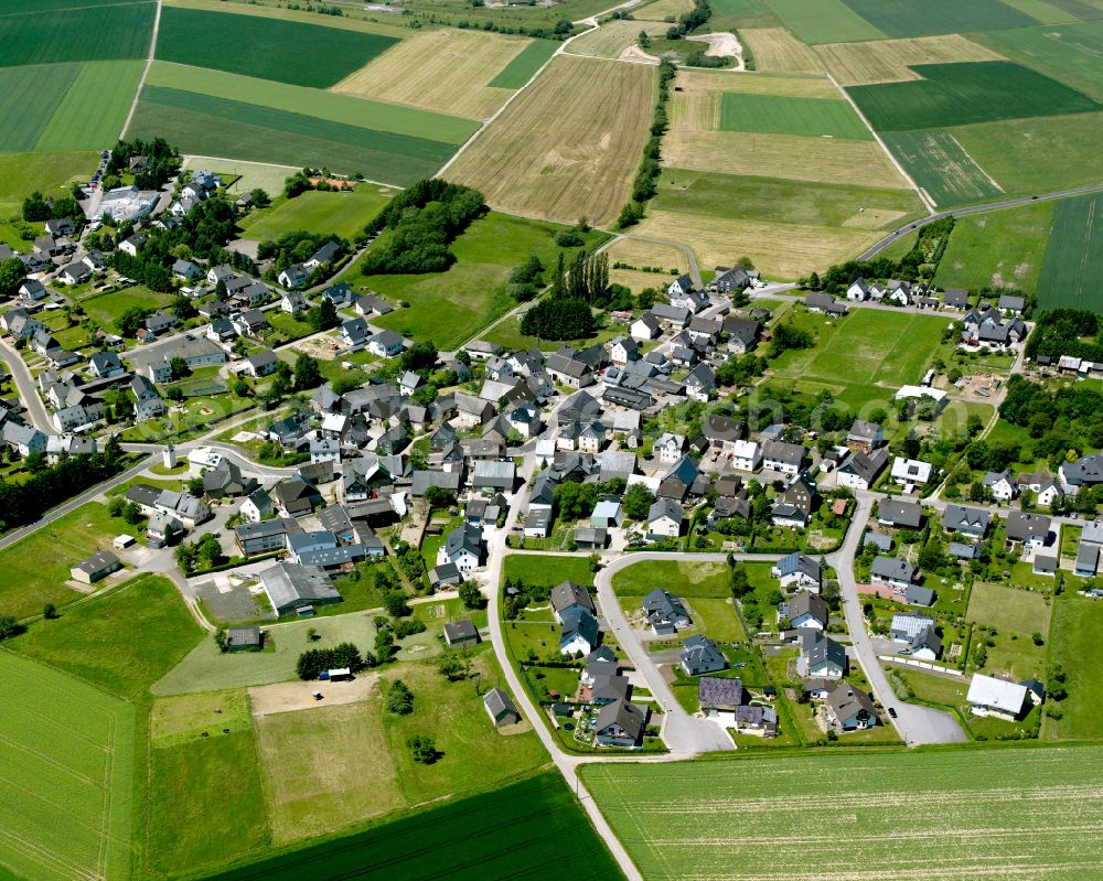 Aerial image Bärenbach - Agricultural land and field boundaries surround the settlement area of the village in Bärenbach in the state Rhineland-Palatinate, Germany