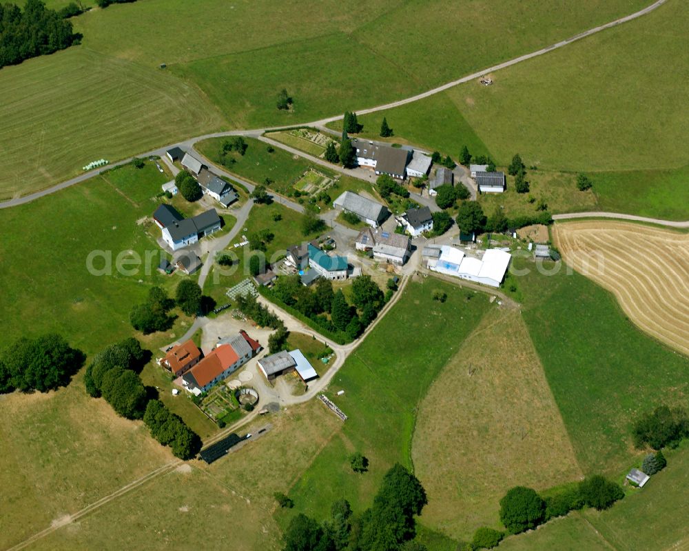 Aerial photograph Bürhausen - Agricultural land and field boundaries surround the settlement area of the village in Bürhausen in the state North Rhine-Westphalia, Germany