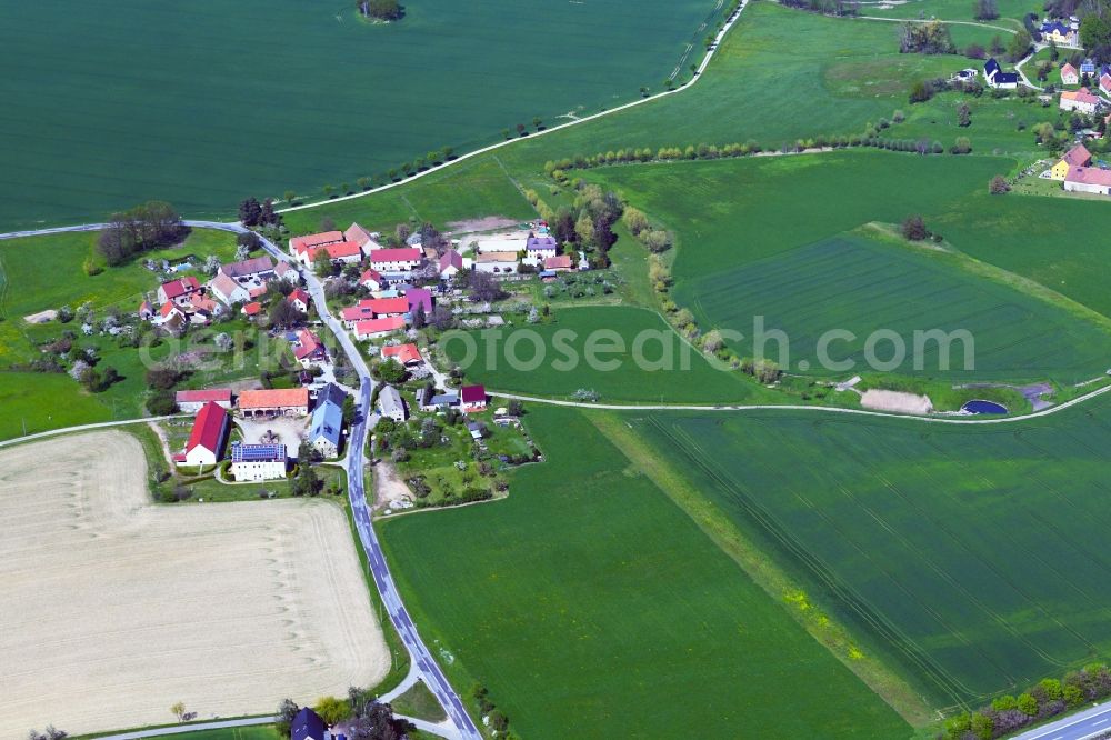 Brießnitz from above - Agricultural land and field boundaries surround the settlement area of the village in Briessnitz in the state Saxony, Germany