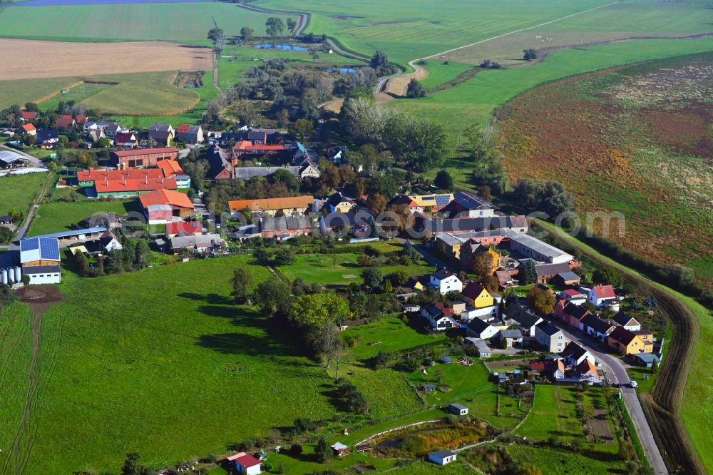 Bösewig from above - Agricultural land and field boundaries surround the settlement area of the village in Boesewig in the state Saxony-Anhalt, Germany