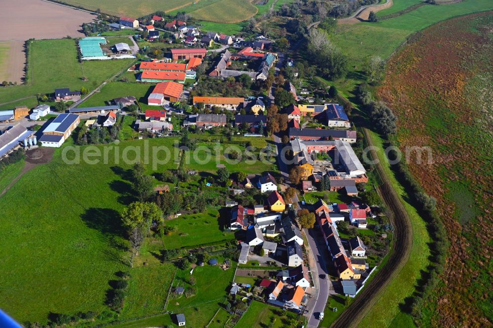 Aerial image Bösewig - Agricultural land and field boundaries surround the settlement area of the village in Boesewig in the state Saxony-Anhalt, Germany