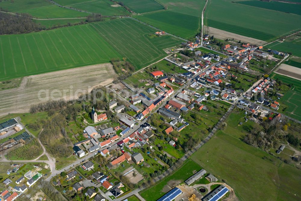 Büste from above - Agricultural land and field boundaries surround the settlement area of the village in Büste in the state Saxony-Anhalt, Germany