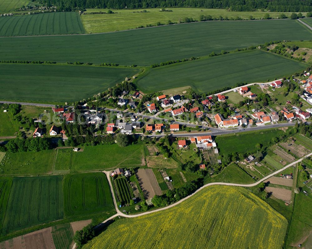 Büttstedt from the bird's eye view: Agricultural land and field boundaries surround the settlement area of the village in Büttstedt in the state Thuringia, Germany