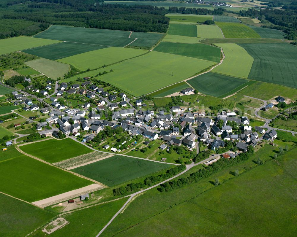 Bubach from above - Agricultural land and field boundaries surround the settlement area of the village in Bubach in the state Rhineland-Palatinate, Germany