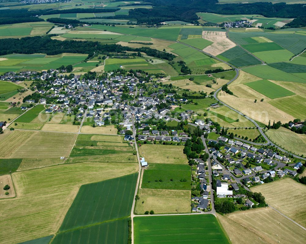 Aerial photograph Buch - Agricultural land and field boundaries surround the settlement area of the village in Buch in the state Rhineland-Palatinate, Germany