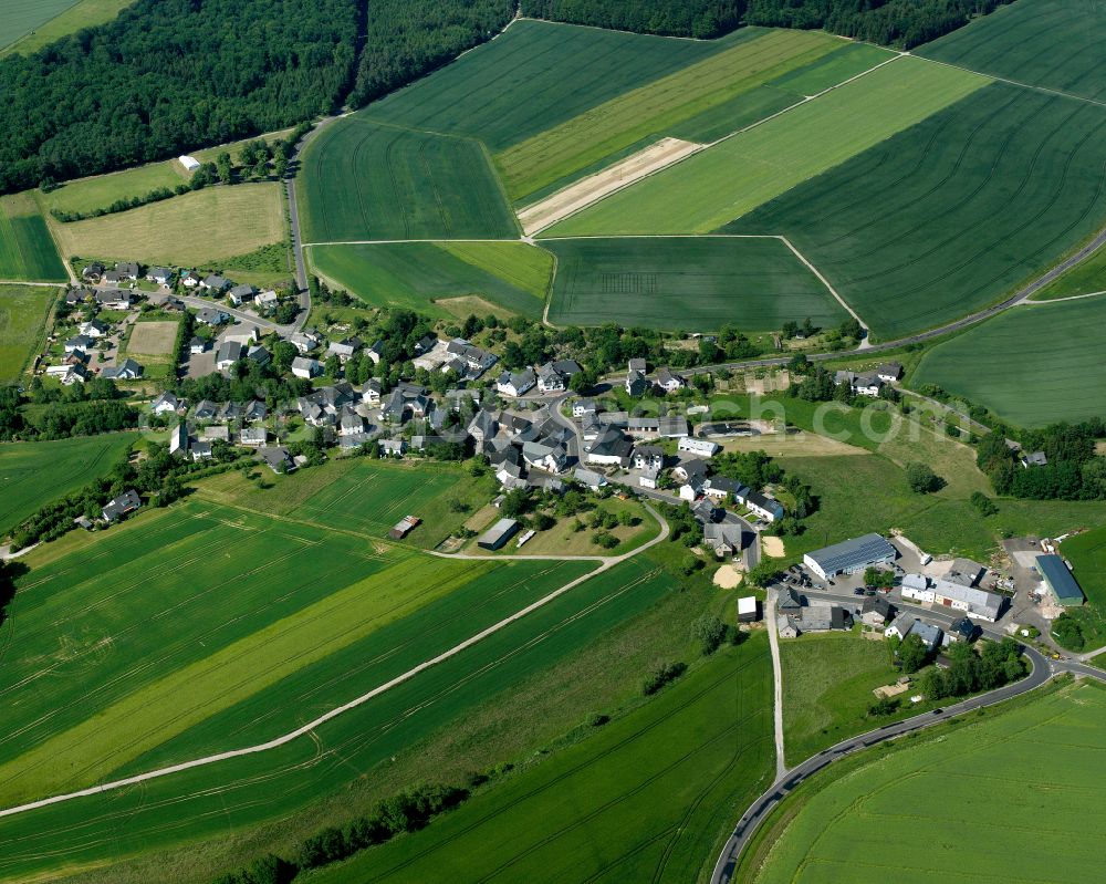 Aerial photograph Budenbach - Agricultural land and field boundaries surround the settlement area of the village in Budenbach in the state Rhineland-Palatinate, Germany