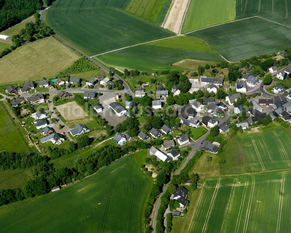 Budenbach from the bird's eye view: Agricultural land and field boundaries surround the settlement area of the village in Budenbach in the state Rhineland-Palatinate, Germany