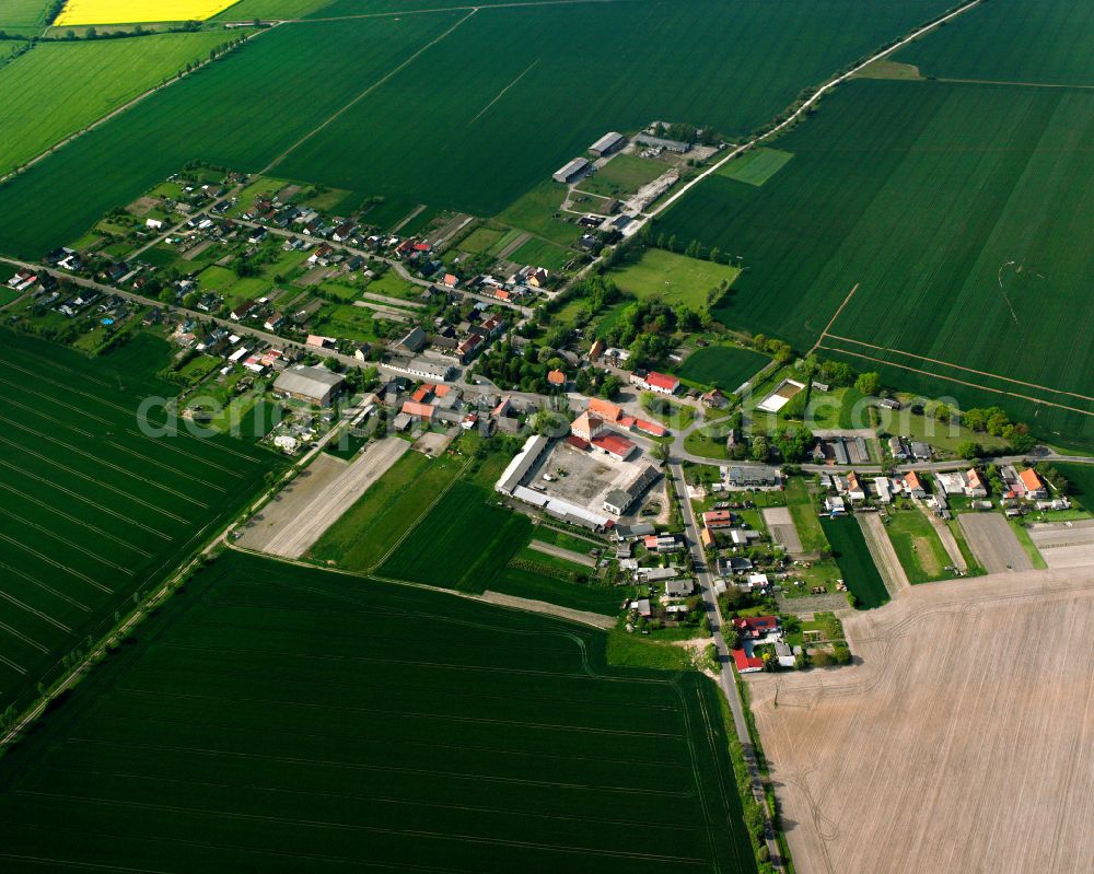 Buhlendorf from above - Agricultural land and field boundaries surround the settlement area of the village in Buhlendorf in the state Saxony-Anhalt, Germany