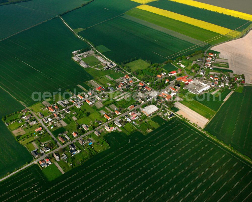 Buhlendorf from the bird's eye view: Agricultural land and field boundaries surround the settlement area of the village in Buhlendorf in the state Saxony-Anhalt, Germany