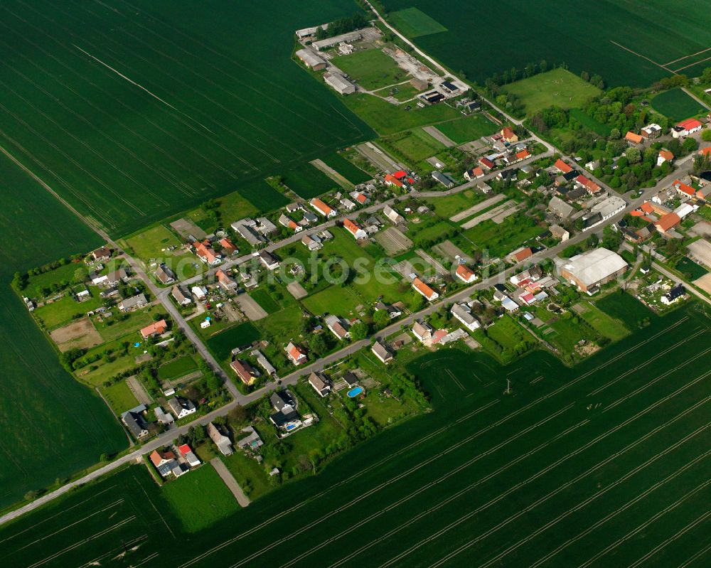 Aerial photograph Buhlendorf - Agricultural land and field boundaries surround the settlement area of the village in Buhlendorf in the state Saxony-Anhalt, Germany