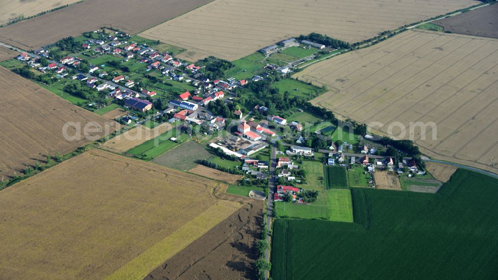 Aerial image Buhlendorf - Agricultural land and field boundaries surround the settlement area of the village in Buhlendorf in the state Saxony-Anhalt, Germany