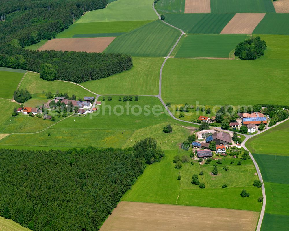 Aerial image Buschhorn - Agricultural land and field boundaries surround the settlement area of the village in Buschhorn in the state Baden-Wuerttemberg, Germany