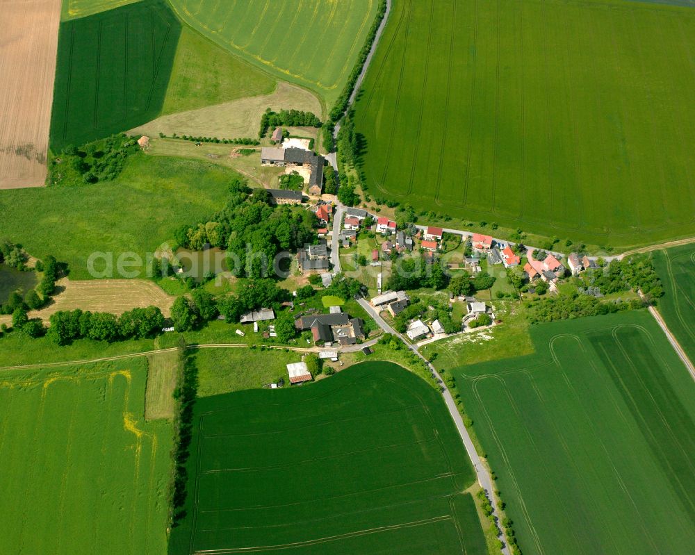 Caasen from above - Agricultural land and field boundaries surround the settlement area of the village in Caasen in the state Thuringia, Germany