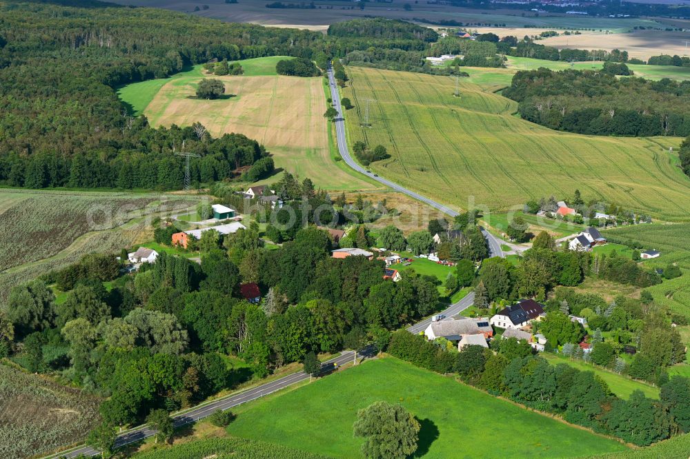 Carlslust from above - Agricultural land and field boundaries surround the settlement area of the village in Carlslust in the state Mecklenburg - Western Pomerania, Germany