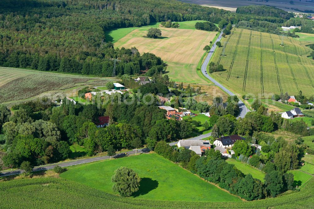 Carlslust from the bird's eye view: Agricultural land and field boundaries surround the settlement area of the village in Carlslust in the state Mecklenburg - Western Pomerania, Germany