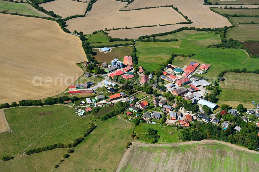 Cashagen from above - Agricultural land and field boundaries surround the settlement area of the village on street Dorfallee in Cashagen in the state Schleswig-Holstein, Germany