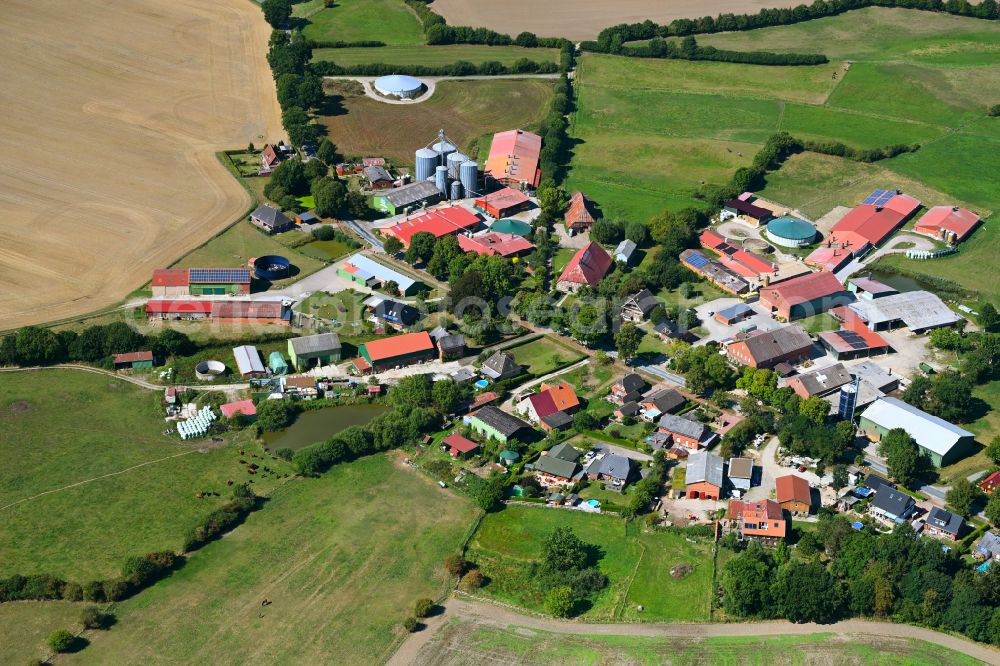 Cashagen from the bird's eye view: Agricultural land and field boundaries surround the settlement area of the village on street Dorfallee in Cashagen in the state Schleswig-Holstein, Germany