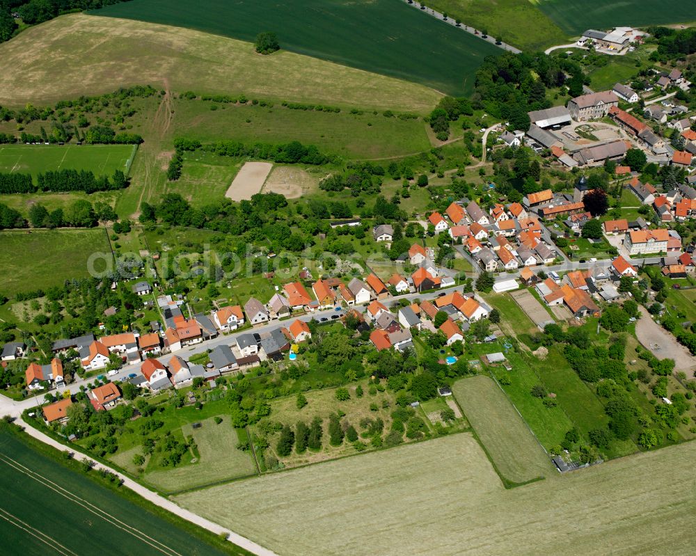 Cattenstedt from the bird's eye view: Agricultural land and field boundaries surround the settlement area of the village in Cattenstedt in the state Saxony-Anhalt, Germany