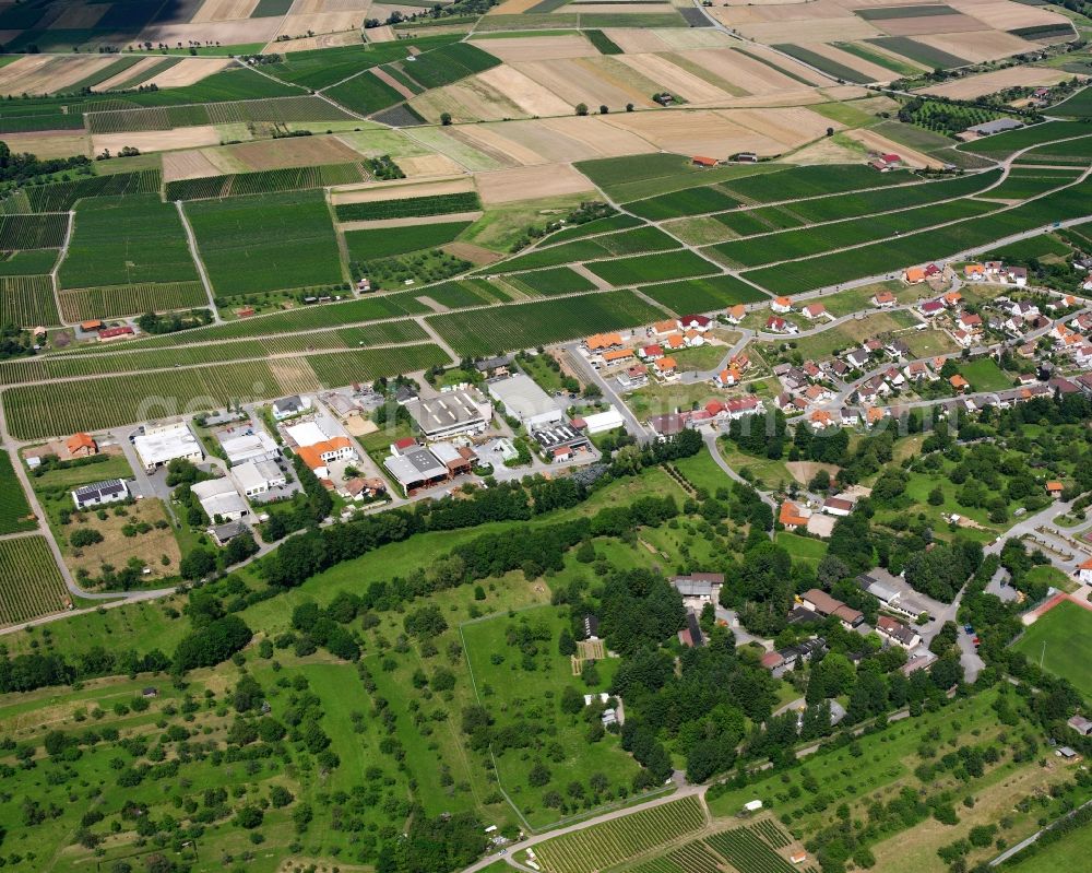 Aerial image Cleebronn - Agricultural land and field boundaries surround the settlement area of the village in Cleebronn in the state Baden-Wuerttemberg, Germany