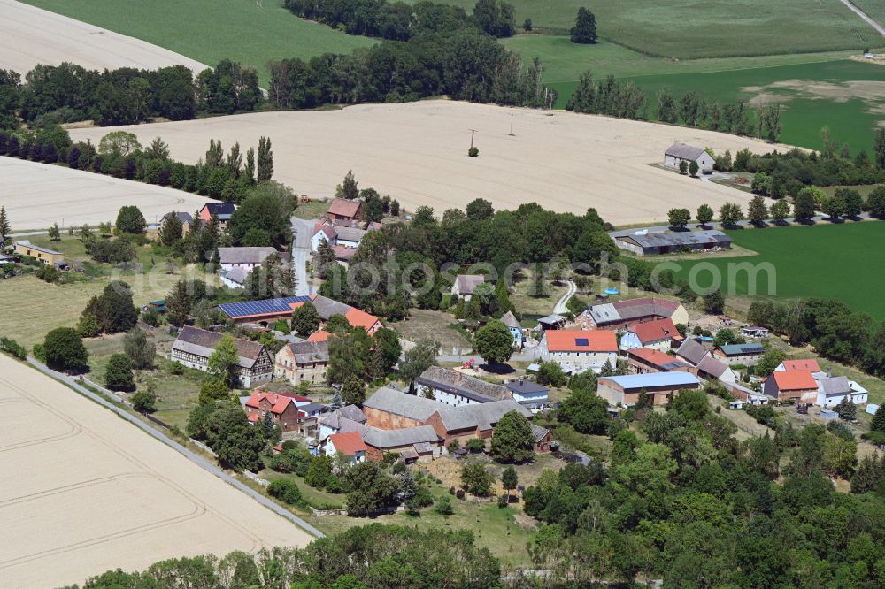 Crauschwitz from above - Agricultural land and field boundaries surround the settlement area of the village in Crauschwitz in the state Saxony-Anhalt, Germany