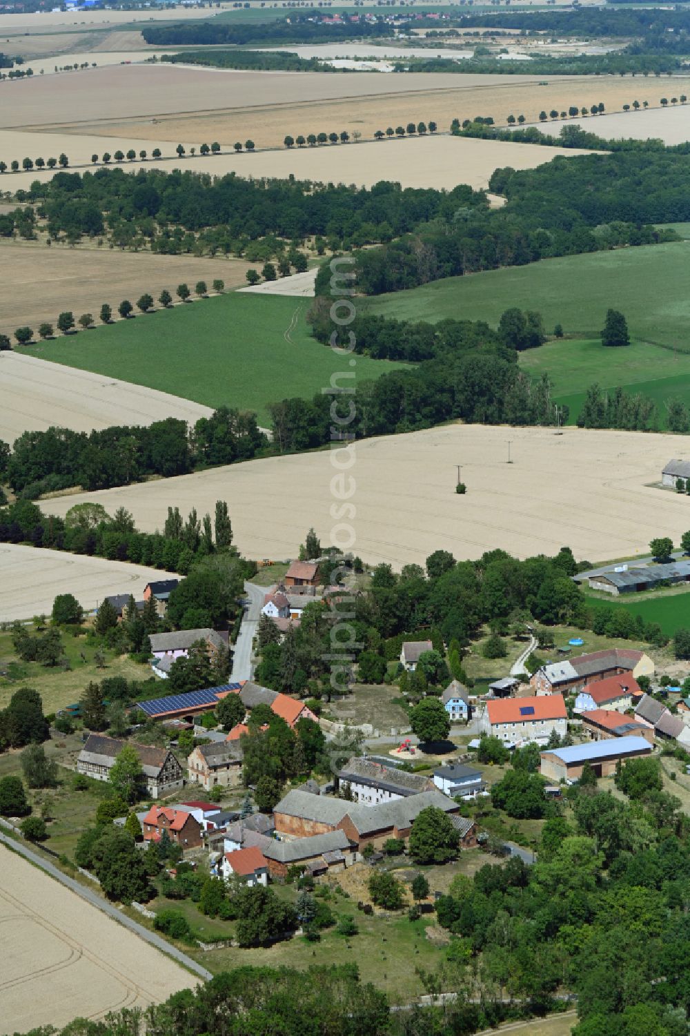 Crauschwitz from the bird's eye view: Agricultural land and field boundaries surround the settlement area of the village in Crauschwitz in the state Saxony-Anhalt, Germany