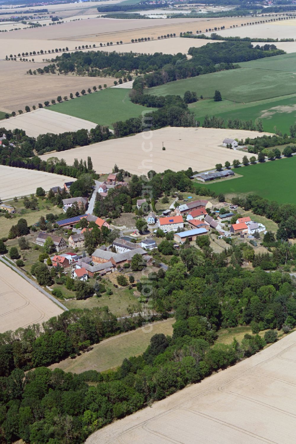 Aerial image Crauschwitz - Agricultural land and field boundaries surround the settlement area of the village in Crauschwitz in the state Saxony-Anhalt, Germany