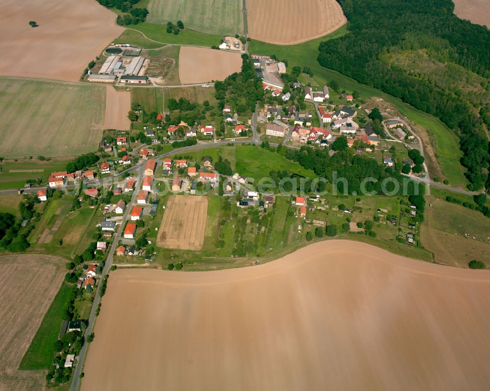 Cretzschwitz from above - Agricultural land and field boundaries surround the settlement area of the village in Cretzschwitz in the state Thuringia, Germany