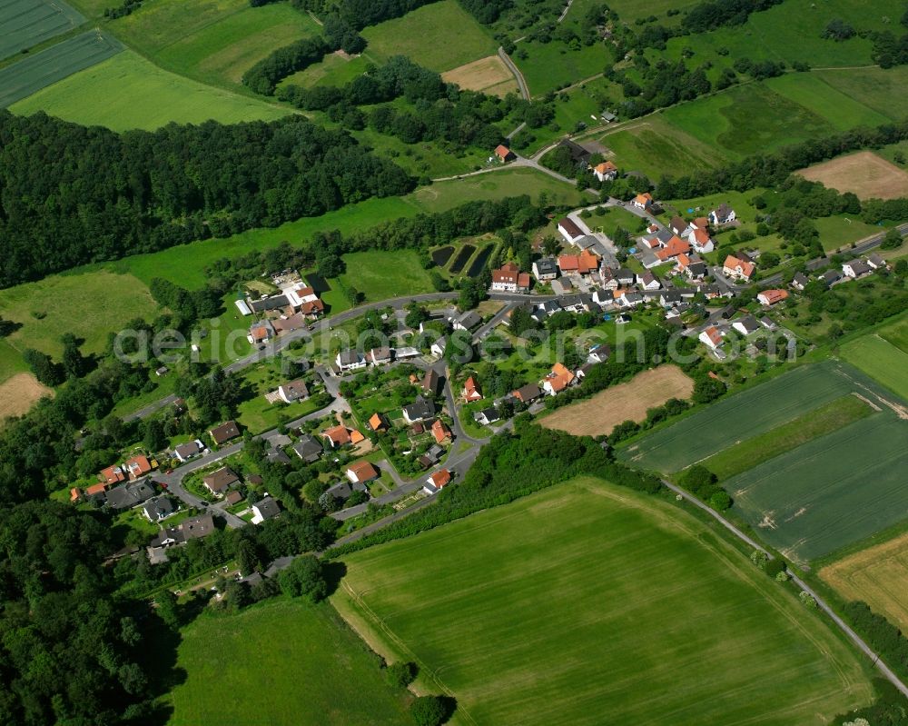 Dahlheim from the bird's eye view: Agricultural land and field boundaries surround the settlement area of the village in Dahlheim in the state Lower Saxony, Germany