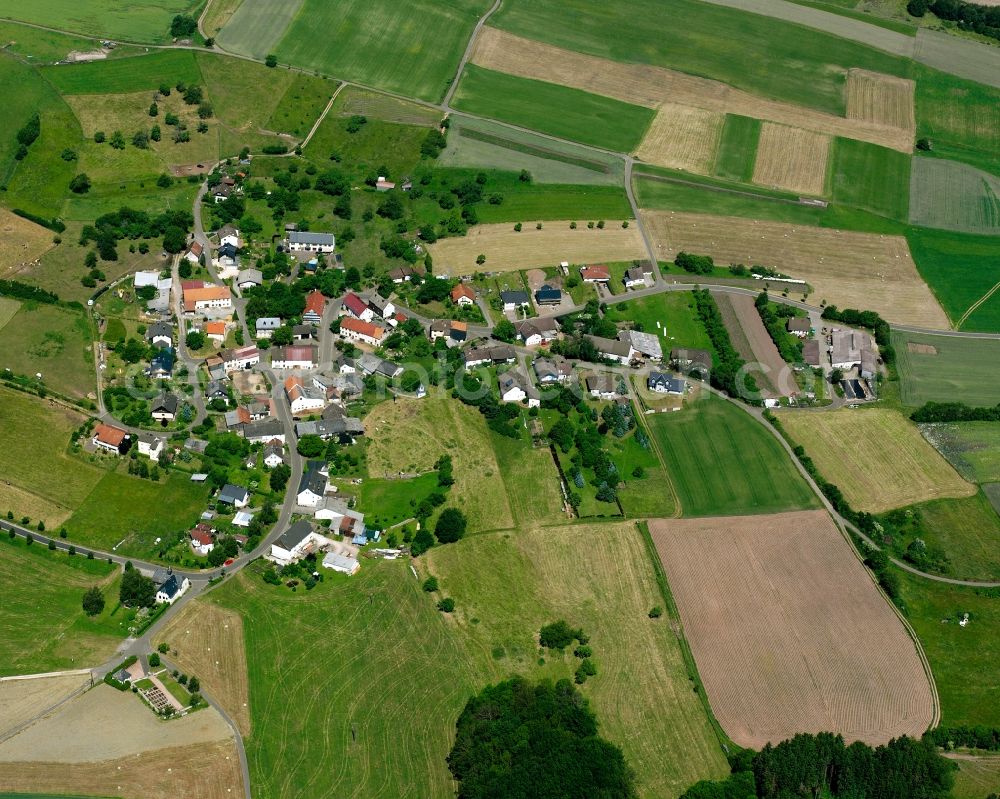 Aerial image Dambach - Agricultural land and field boundaries surround the settlement area of the village in Dambach in the state Rhineland-Palatinate, Germany