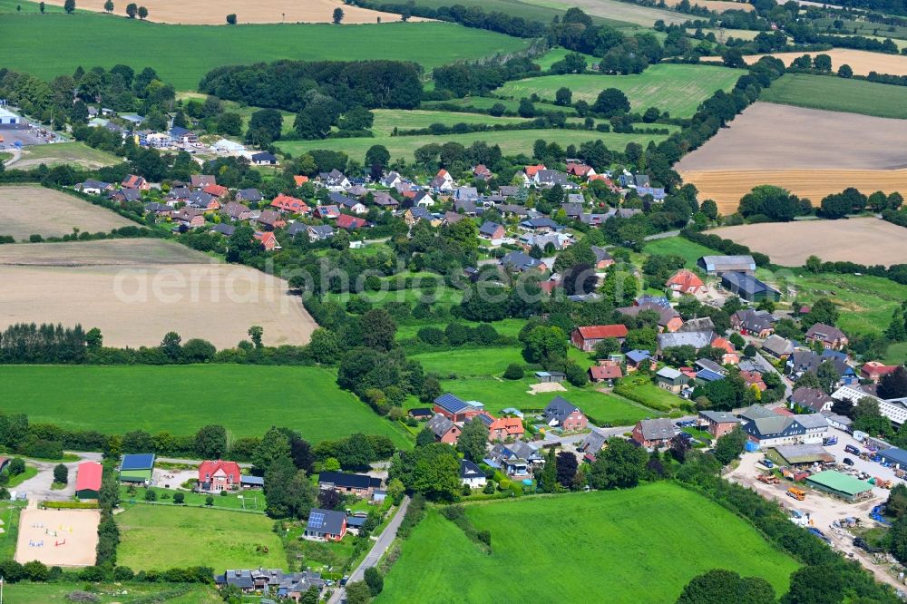 Aerial image Damendorf - Agricultural land and field boundaries surround the settlement area of the village in Damendorf in the state Schleswig-Holstein, Germany