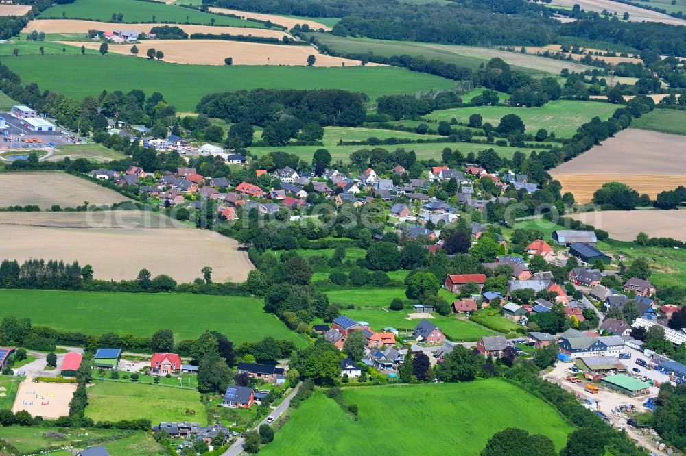 Aerial photograph Damendorf - Agricultural land and field boundaries surround the settlement area of the village in Damendorf in the state Schleswig-Holstein, Germany