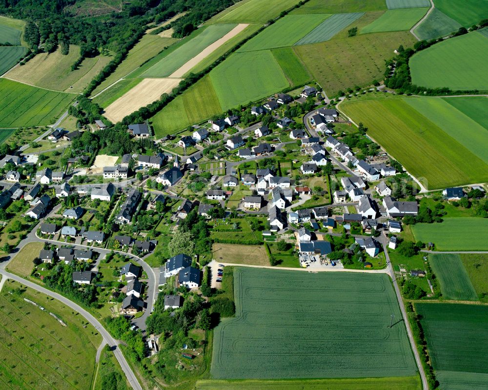 Damscheid from above - Agricultural land and field boundaries surround the settlement area of the village in Damscheid in the state Rhineland-Palatinate, Germany