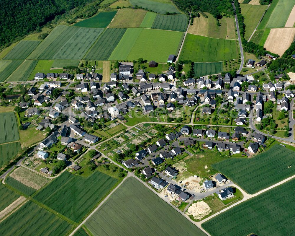 Damscheid from the bird's eye view: Agricultural land and field boundaries surround the settlement area of the village in Damscheid in the state Rhineland-Palatinate, Germany