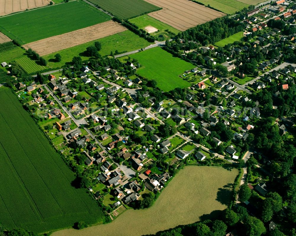 Aerial photograph Dassendorf Siedlung - Agricultural land and field boundaries surround the settlement area of the village in Dassendorf Siedlung in the state Schleswig-Holstein, Germany